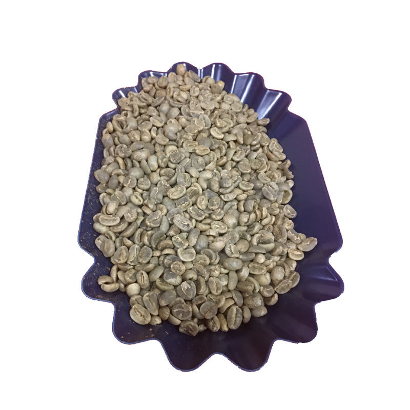 Honduran Green Beans (1kg)