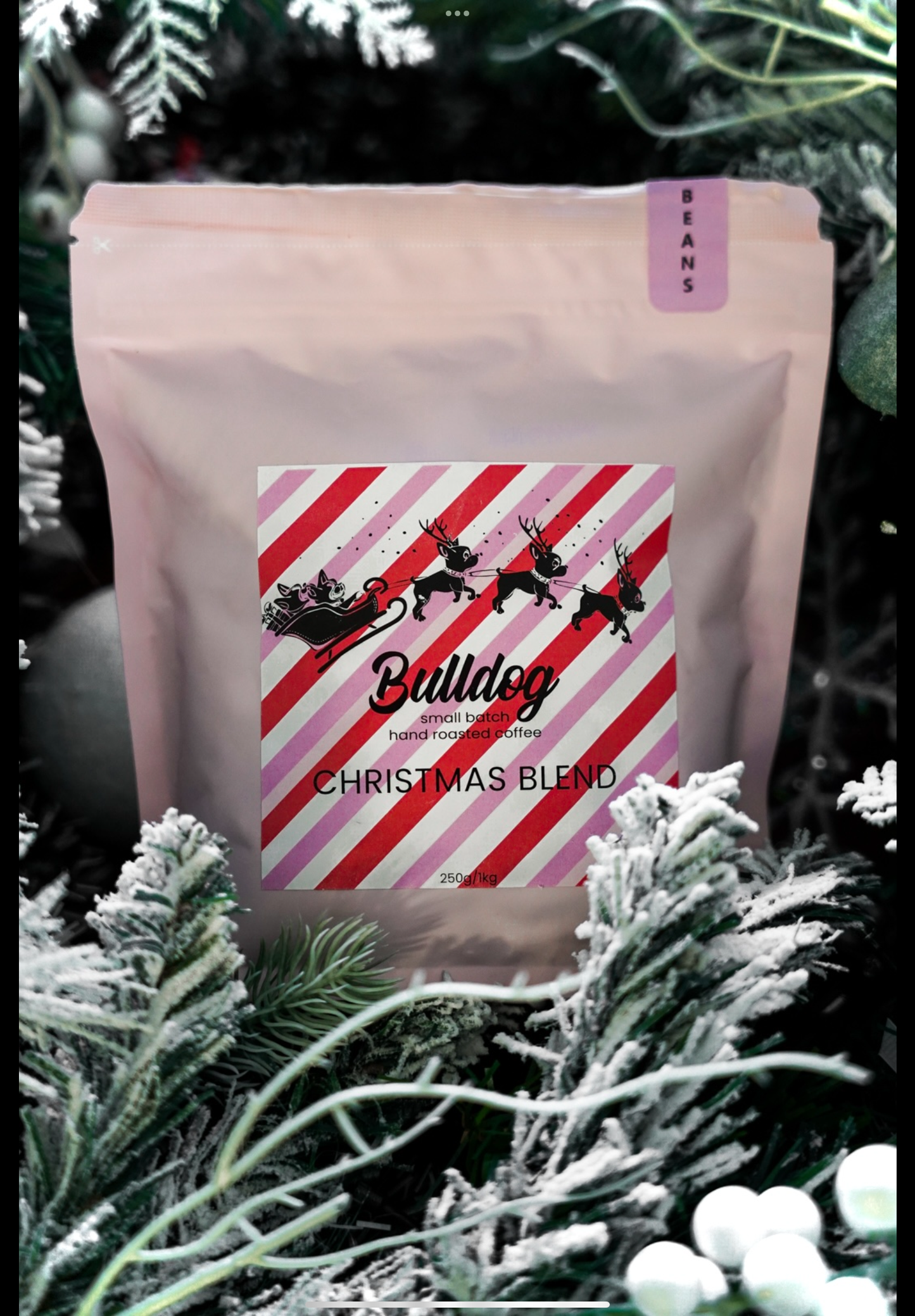 Festive Bulldog Blend (Limited Edition)